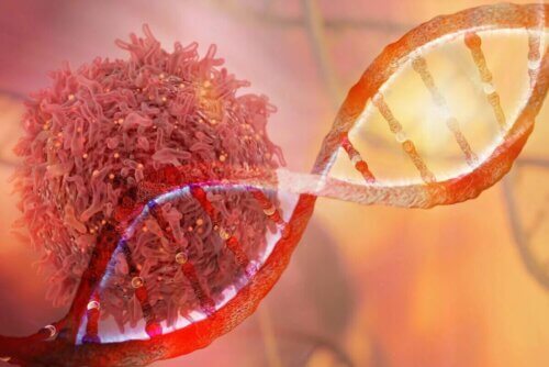Les cellules cancéreuses ont subi une modification de leur ADN.