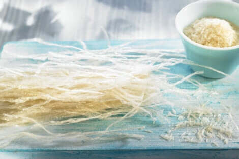 Algue agar-agar.