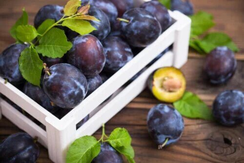 Types et variétés de prunes