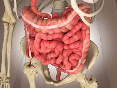 Infarctus mésentérique : examens et traitements