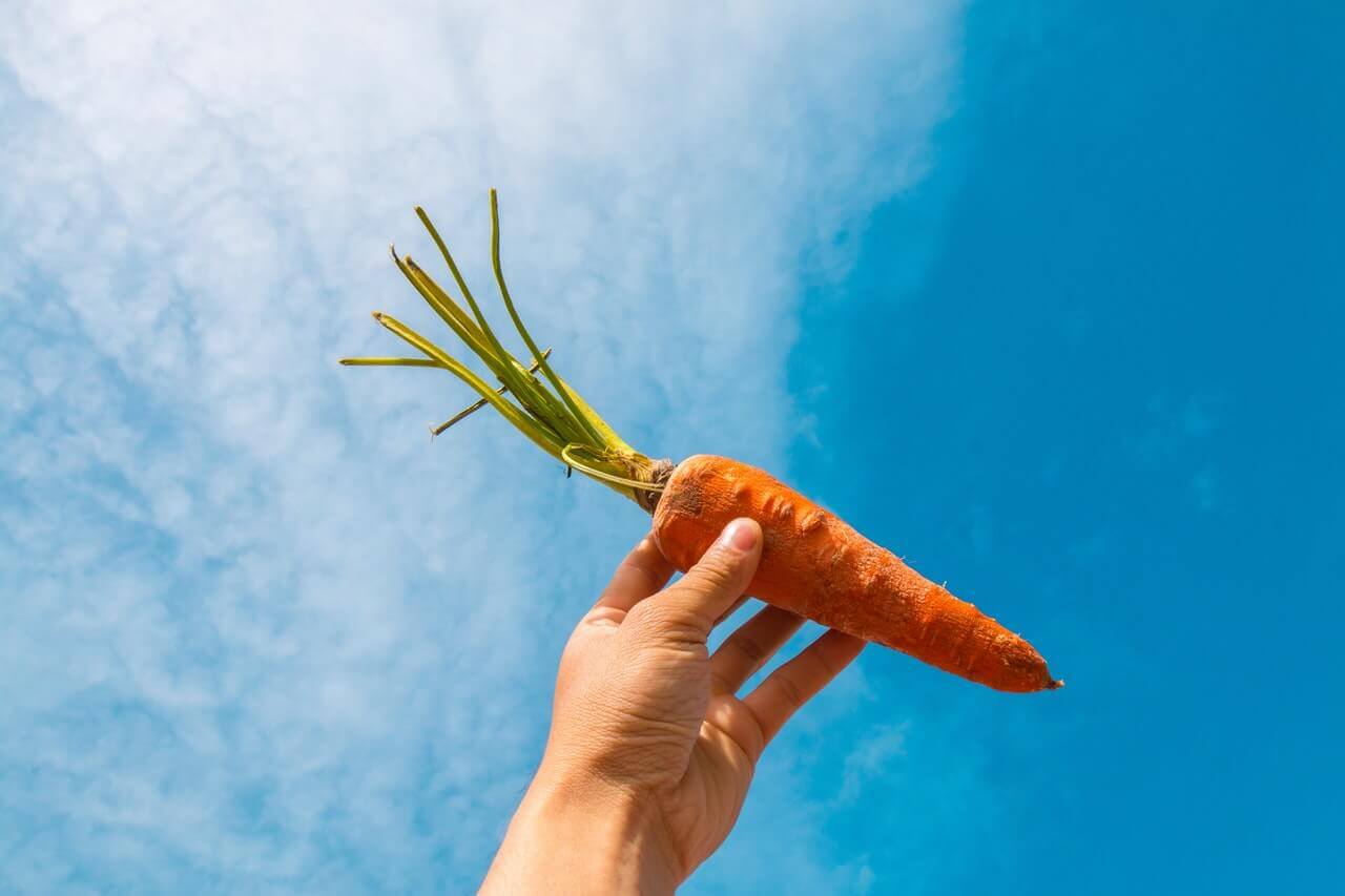 Une femme tenant une carotte.
