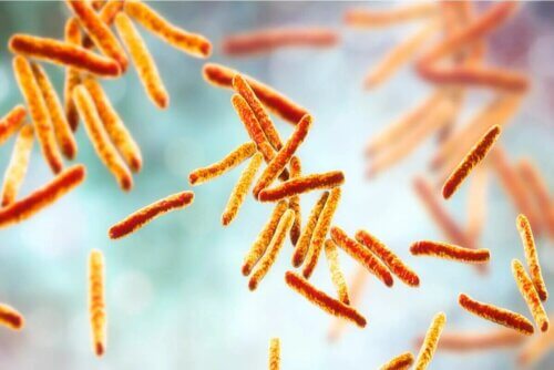 La tuberculose pulmonaire est causée par une bactérie.