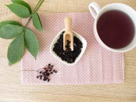 Préparation du sirop de sureau.