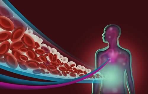 Schéma d'un corps humain avec des globules rouges. 