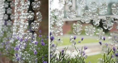 Un rideau de fleurs.