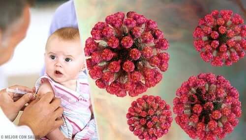 L'exanthème subit chez un enfant.