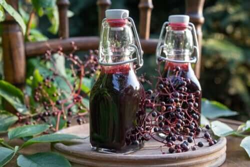 Sirop de sureau : bienfaits, précautions et recette