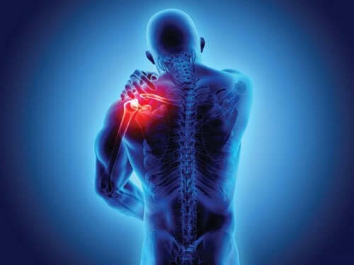 Spondylarthropathies : symptômes et diagnostic