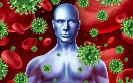 Système immunitaire, globules rouges et virus.