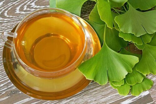 Une tasse de Ginkgo Biloba.