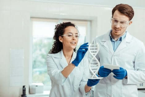 Deux chercheurs scientifiques étudiant l'ADN. 
