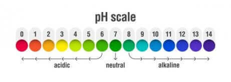 Echelle de pH. 
