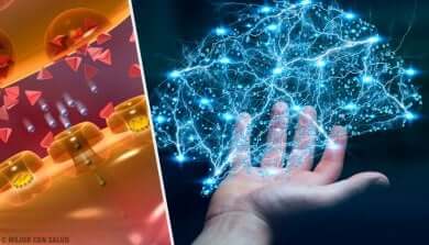 La libération d'endorphines.