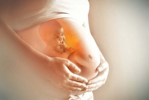 La santé intestinale de la femme enceinte influence le cerveau du futur bébé