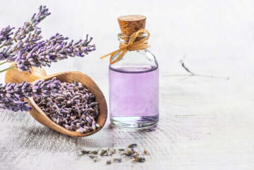 Les 6 meilleures plantes médicinales approuvées par la science