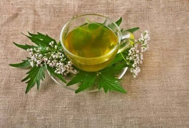 Infusion de valériane pour se détendre.