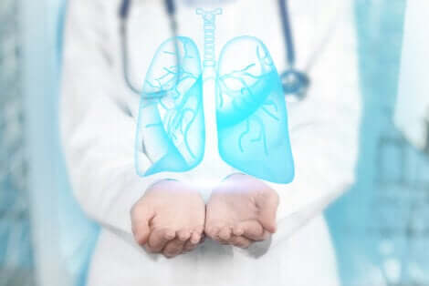 Un médecin qui tend ses mains et soutient des poumons en 3D. 