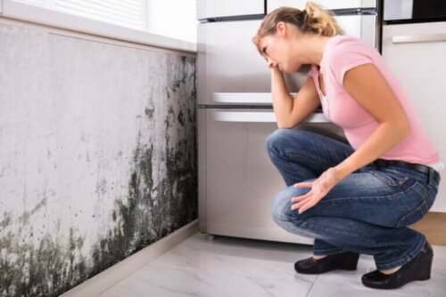 La moisissure à la maison cause-t-elle des problèmes de santé ?