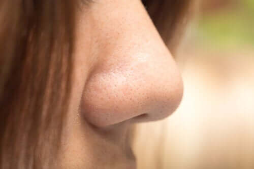 Types de nez : quel est le vôtre ?