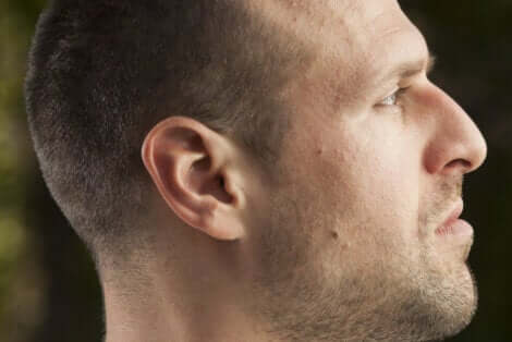 Visage d'un nez de profil avec un nez aquilin.