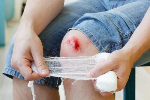 Un pansement cicatrisant.