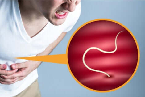 Les parasites intestinaux.