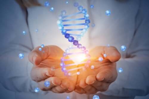 Qu'est-ce que le projet du génome humain ?