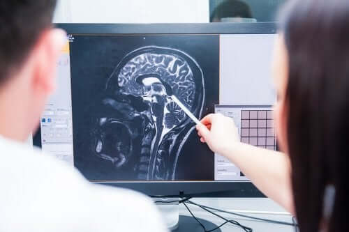 Qu'est-ce que le système neuroendocrinien ?
