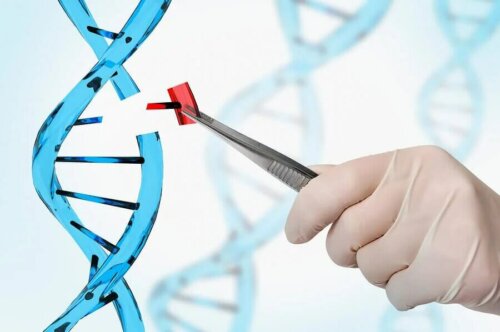 Une analyse adn en laboratoire.