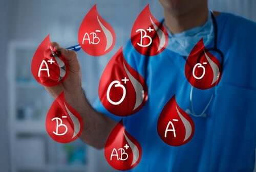 Les différents types de sang