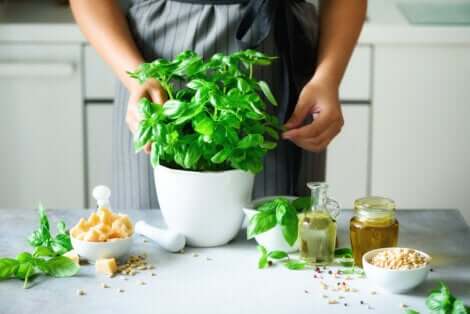Du basilic en cuisine.
