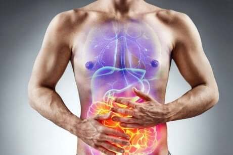 Douleurs et inflammation des intestins.
