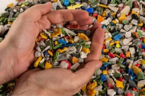 microplastiques