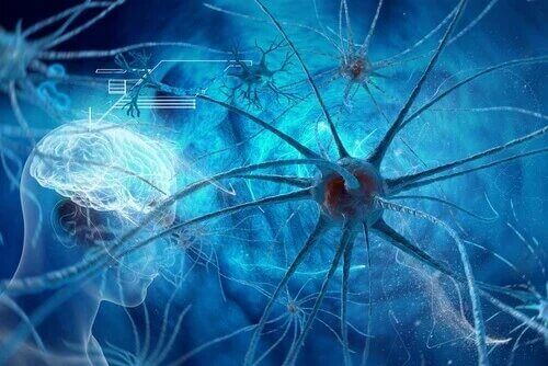 Des neurones sur fond bleu.