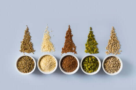 Les propriétés des graines.