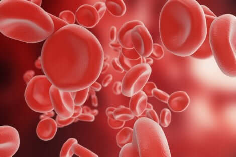 La coagulation sanguine.