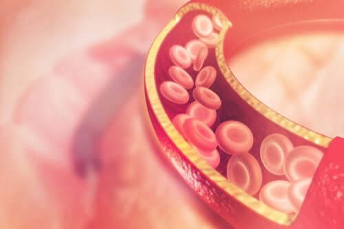 Globules rouges dans la circulation.