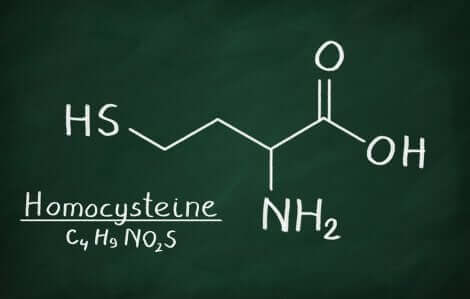 Formule chimique de l'homocystéine. 