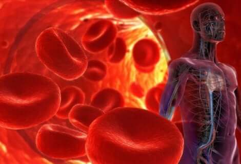 L hypertension et le captopril.