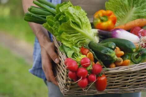 Un panier de légumes.