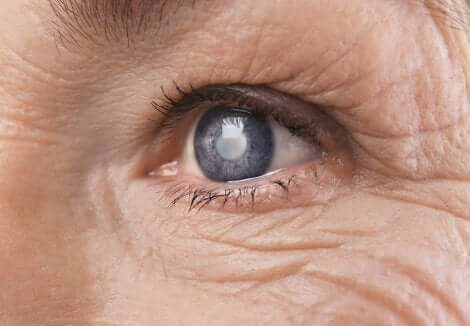 Gros plan sur un oeil bleu. 