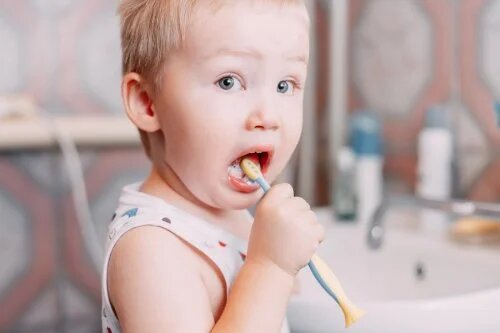 Comment soigner les premières dents du bébé.