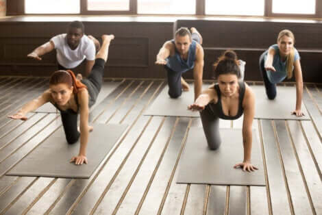 La posture du bird dog.