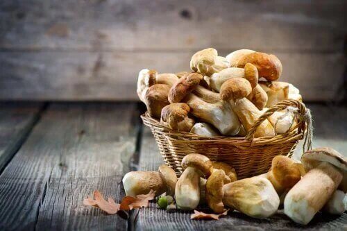 Champignons contenants la saveur umami.