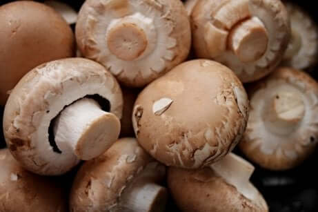 De beaux champignons de Paris.