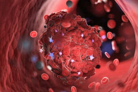 La coagulation du sang.