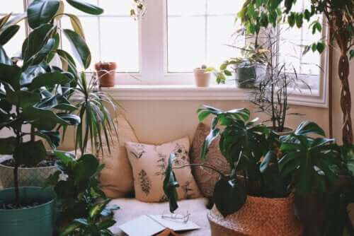 Idées pour créer un coin détente à la maison