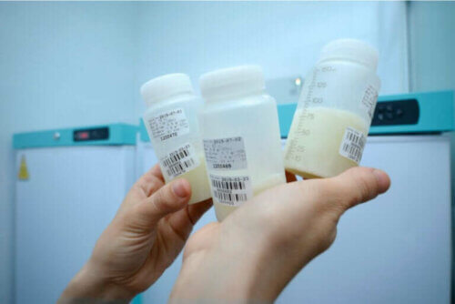 Don de lait maternel : tout ce que vous devez savoir