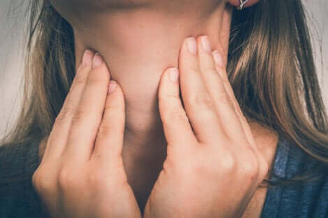 Le larynx chez une femme.