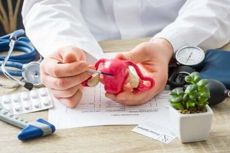 Un médecin qui présente un modèle de l'utérus.